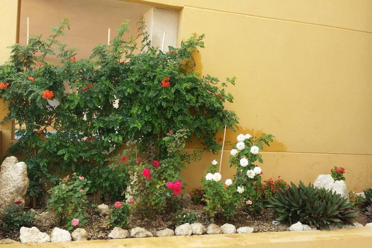 431 - Edif Aguamarina - Vacation Rental Home In The Coast Line Of Golf Del Sur San Miguel de Abona Kültér fotó